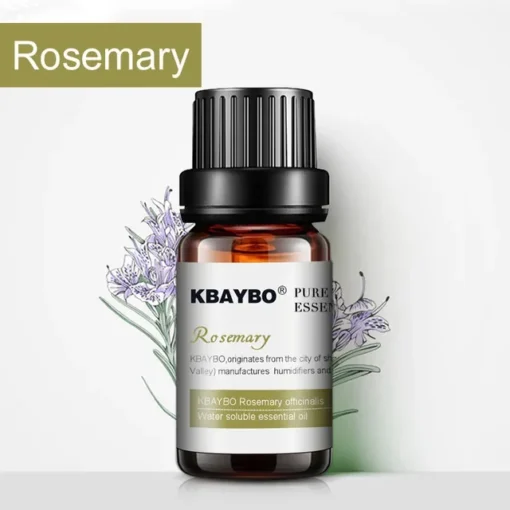 Huiles essentielles d'aromathérapies pour diffuseur et humidificateur - Rosemary